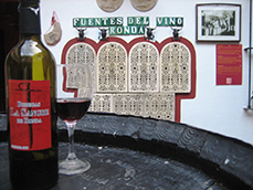 Centro de Interpretación del Vino