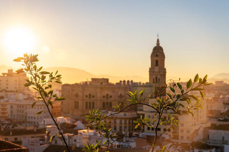 malaga soleada